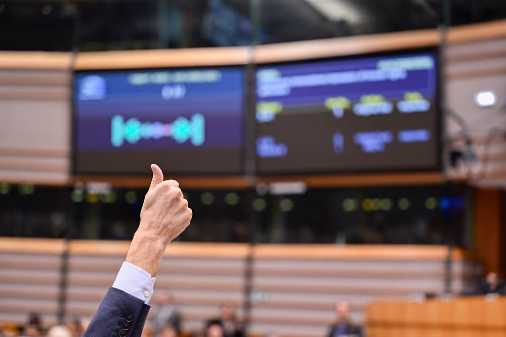 EP Plenary session - Voting session