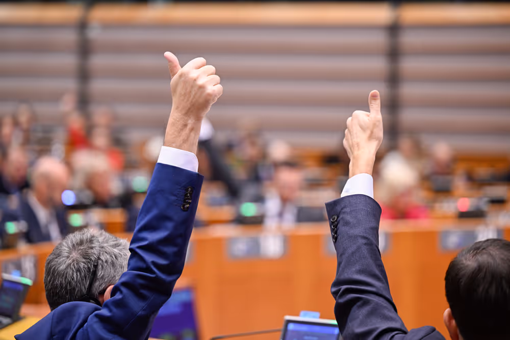 EP Plenary session - Voting session