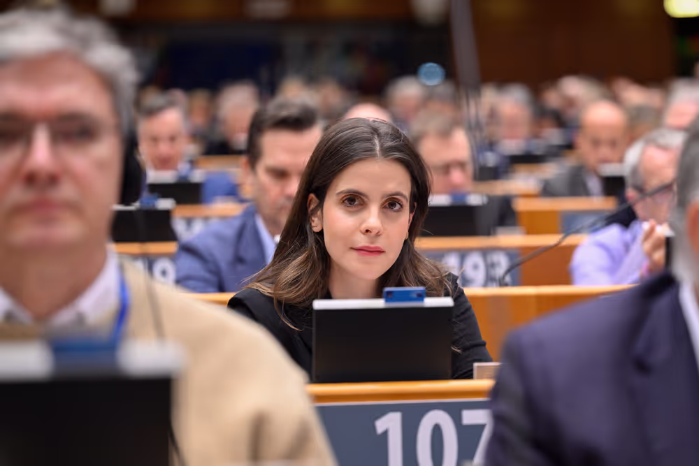 EP Plenary session - Voting session