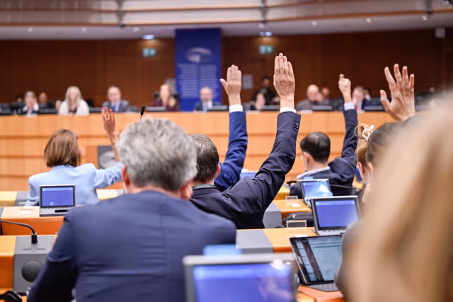 Foto 8: EP Plenary session - Voting session