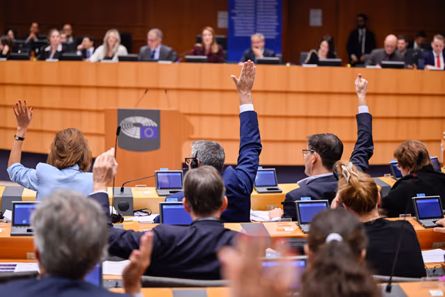 Foto 6: EP Plenary session - Voting session