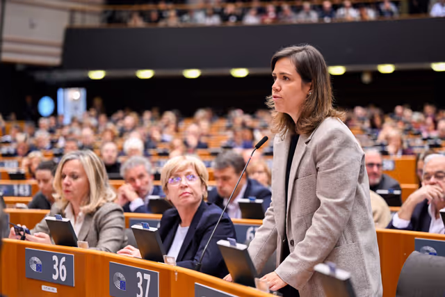 EP Plenary session - Voting session