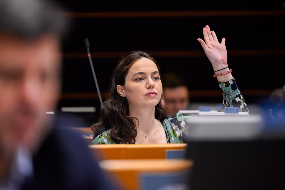 EP Plenary session - Voting session