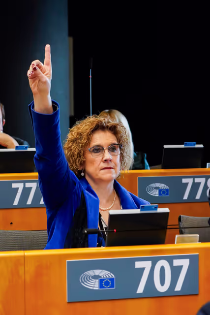 Foto 31: EP Plenary session - Voting session