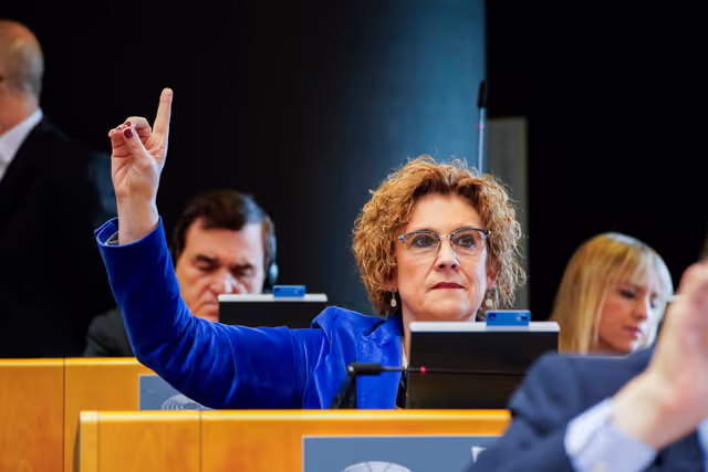 EP Plenary session - Voting session