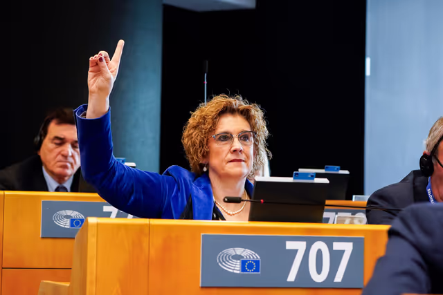 Foto 30: EP Plenary session - Voting session