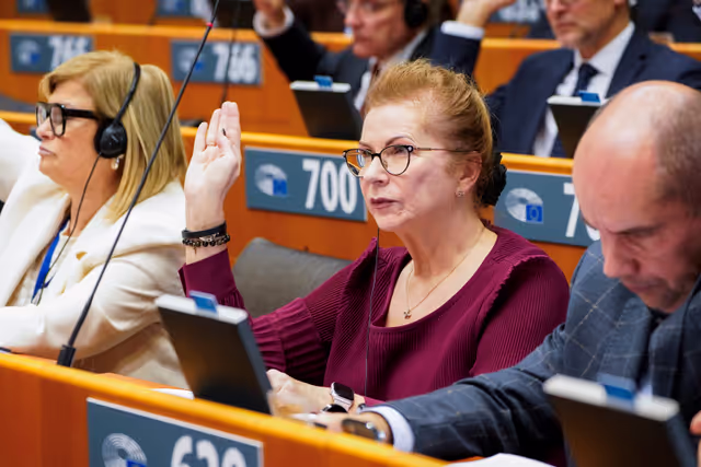 EP Plenary session - Voting session