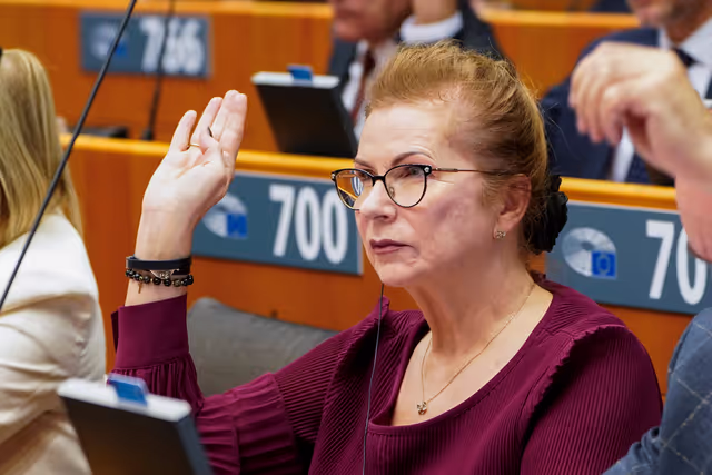 EP Plenary session - Voting session