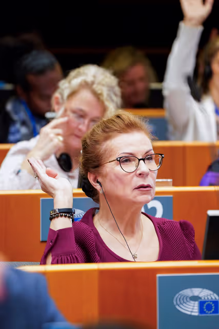 EP Plenary session - Voting session