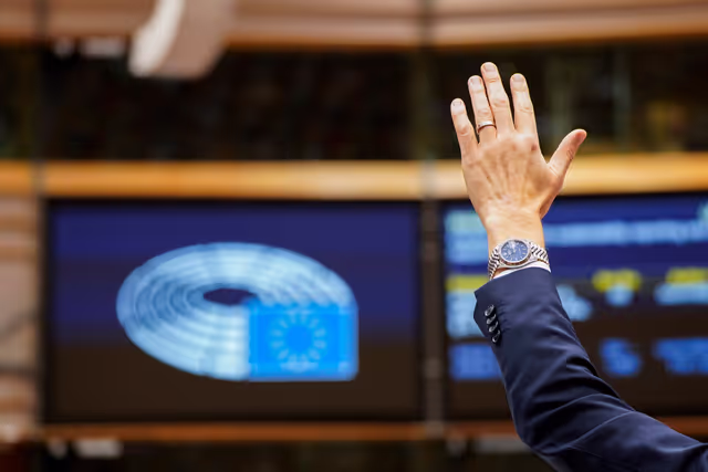 EP Plenary session - Voting session