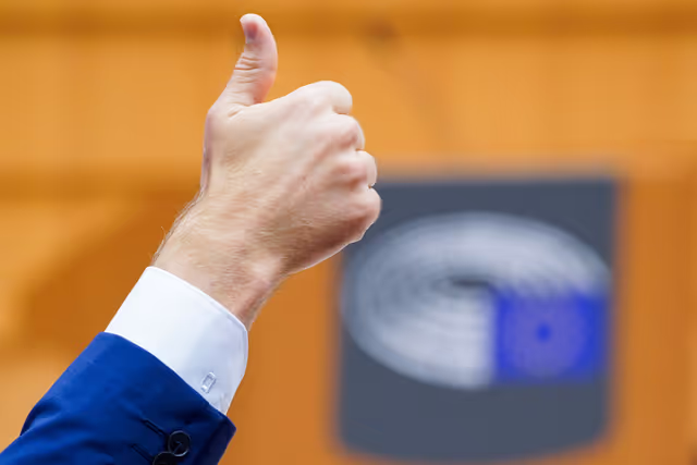 EP Plenary session - Voting session