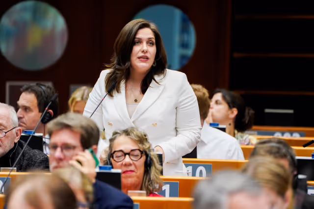 EP Plenary session - Voting session