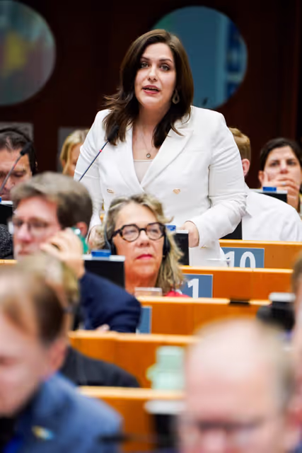 EP Plenary session - Voting session