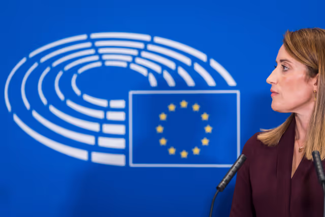 Press point on proxy voting in plenary for Members during pregnancy and after giving birth