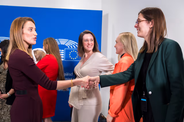 Press point on proxy voting in plenary for Members during pregnancy and after giving birth