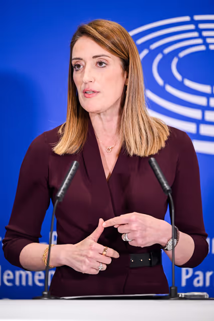 Zdjęcie 16: Press point on proxy voting in plenary for Members during pregnancy and after giving birth