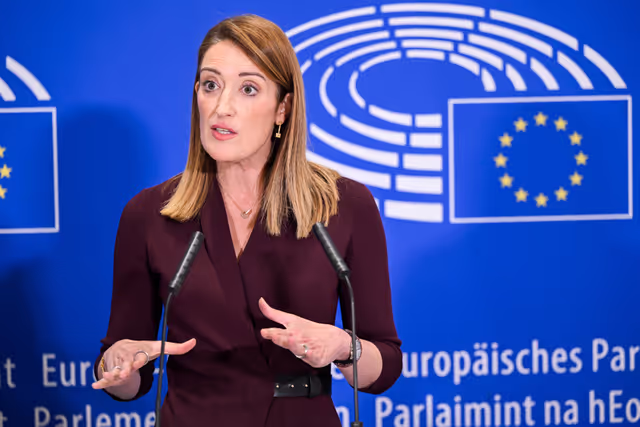 Press point on proxy voting in plenary for Members during pregnancy and after giving birth