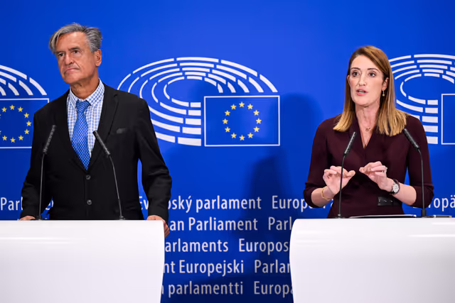 Press point on proxy voting in plenary for Members during pregnancy and after giving birth