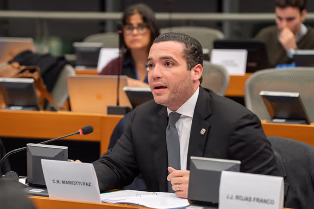 Delegation for relations with the countries of Central America, including the EU-Central America Association Parliamentary Committee (DCAM) meeting