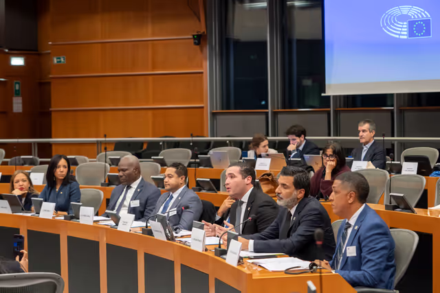 Delegation for relations with the countries of Central America, including the EU-Central America Association Parliamentary Committee (DCAM) meeting