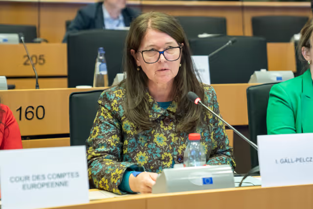 Valokuva 9: CONT - Discharge 2024: General budget of the EU - European External Action Service