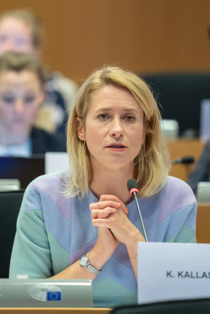 Valokuva 6: CONT - Discharge 2024: General budget of the EU - European External Action Service