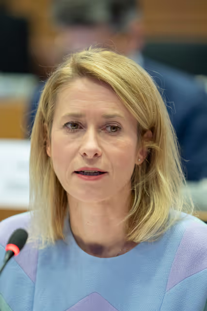 Valokuva 5: CONT - Discharge 2024: General budget of the EU - European External Action Service