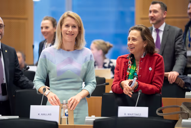 Valokuva 19: CONT - Discharge 2024: General budget of the EU - European External Action Service