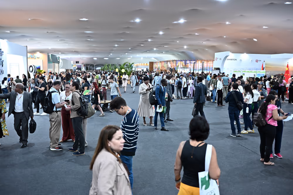 COP30 - The 30th session of the Conference of the Parties to the United Nations Framework Convention on Climate Change in Belem, Brazil