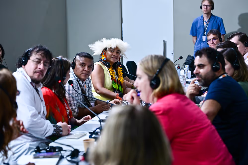 COP30 - The 30th session of the Conference of the Parties to the United Nations Framework Convention on Climate Change in Belem, Brazil