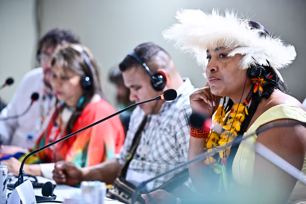 COP30 - The 30th session of the Conference of the Parties to the United Nations Framework Convention on Climate Change in Belem, Brazil