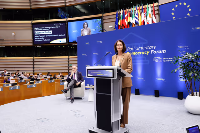 Φωτογραφία 6: EU Parliamentary Democracy Forum