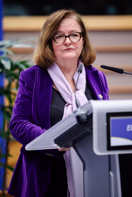 Φωτογραφία 42: EU Parliamentary Democracy Forum