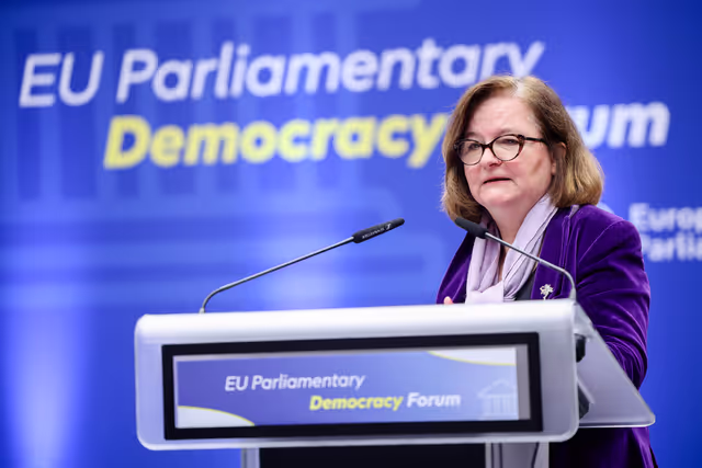 Φωτογραφία 40: EU Parliamentary Democracy Forum