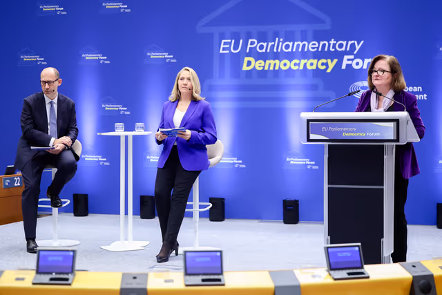 Φωτογραφία 39: EU Parliamentary Democracy Forum