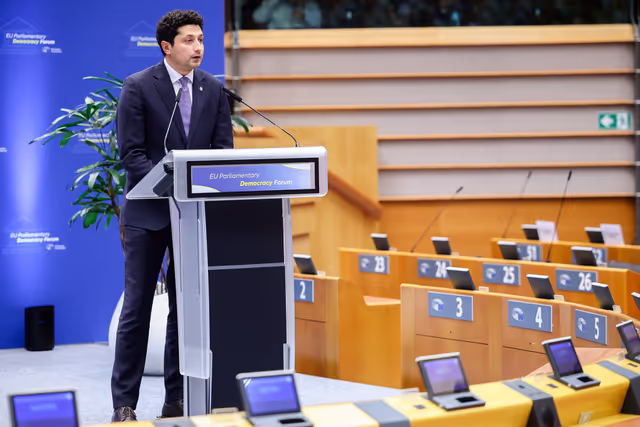 Φωτογραφία 36: EU Parliamentary Democracy Forum