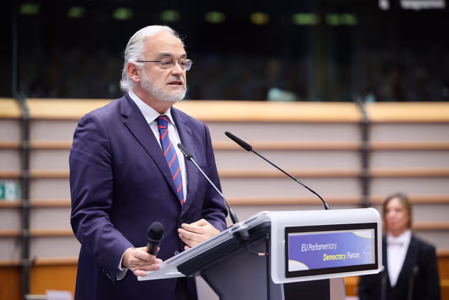 Φωτογραφία 16: EU Parliamentary Democracy Forum