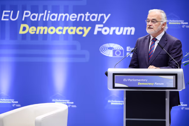 Φωτογραφία 15: EU Parliamentary Democracy Forum