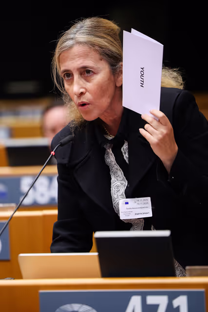 Φωτογραφία 25: EU Parliamentary Democracy Forum