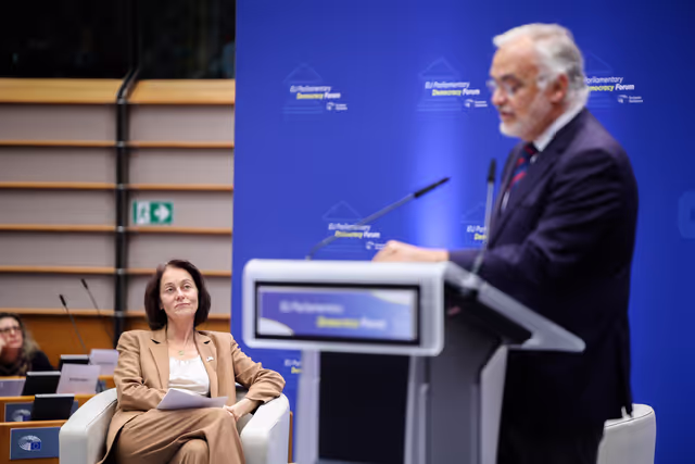 Φωτογραφία 13: EU Parliamentary Democracy Forum