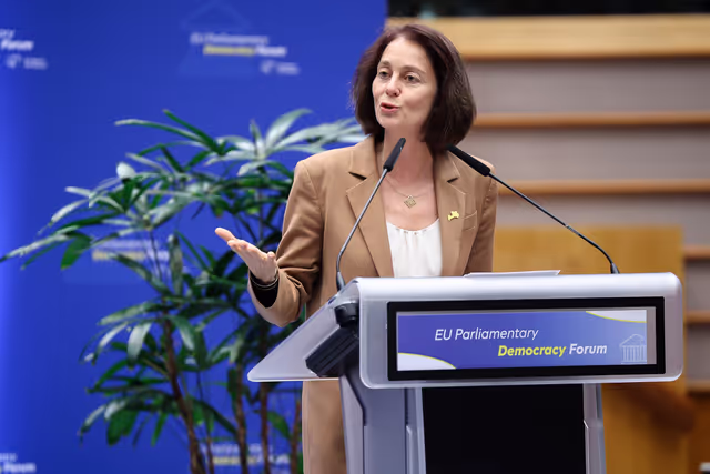 Φωτογραφία 10: EU Parliamentary Democracy Forum