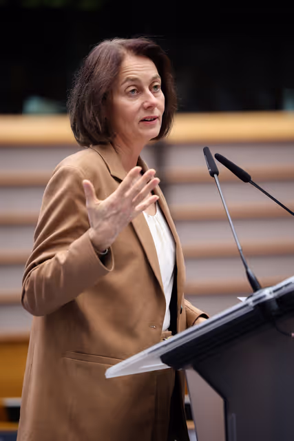 Φωτογραφία 8: EU Parliamentary Democracy Forum