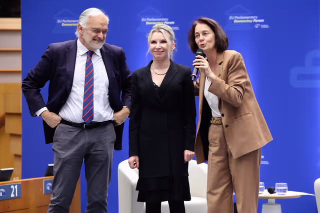 Φωτογραφία 3: EU Parliamentary Democracy Forum