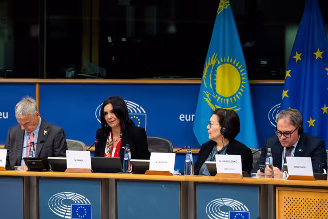 Photo 2 : 22nd EU-Kazakhstan Parliamentary Cooperation Committee (PCC)
