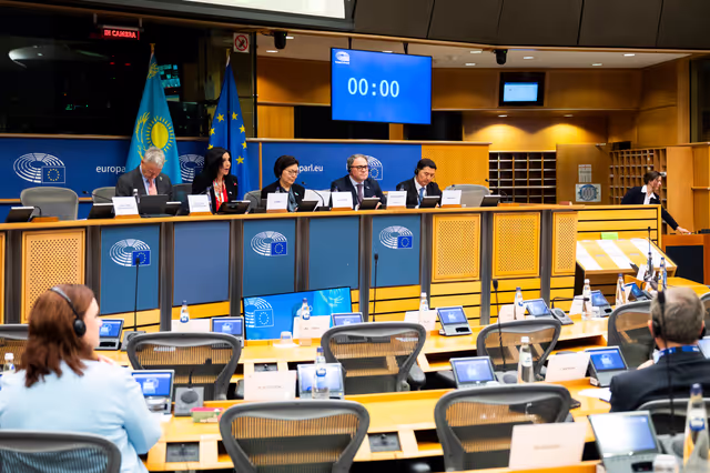 Photo 15 : 22nd EU-Kazakhstan Parliamentary Cooperation Committee (PCC)