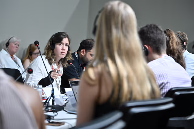 COP30 - The 30th session of the Conference of the Parties to the United Nations Framework Convention on Climate Change in Belem, Brazil