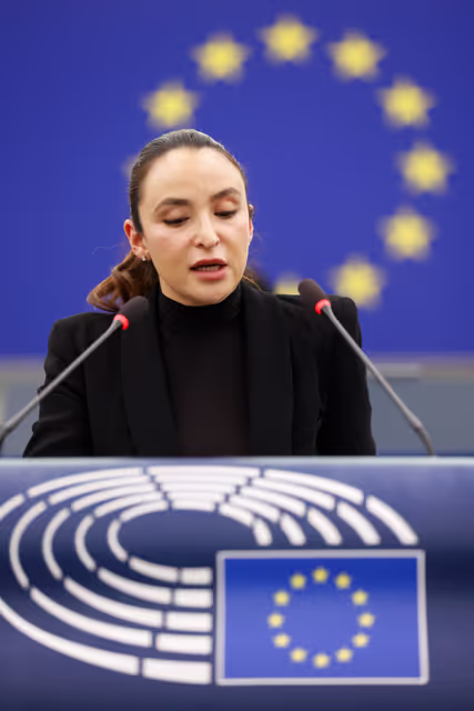 Fotagrafa 29: EP Plenary session - Enhancing police cooperation in relation to the prevention, detection and investigation of migrant smuggling and trafficking in human beings; enhancing Europol’s support to preventing and combating such crimes