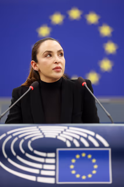 Fotagrafa 30: EP Plenary session - Enhancing police cooperation in relation to the prevention, detection and investigation of migrant smuggling and trafficking in human beings; enhancing Europol’s support to preventing and combating such crimes