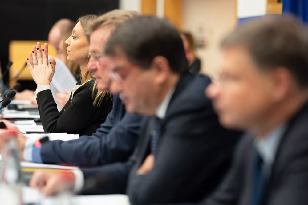 BUDG ECON - Recovery and Resilience Dialogue