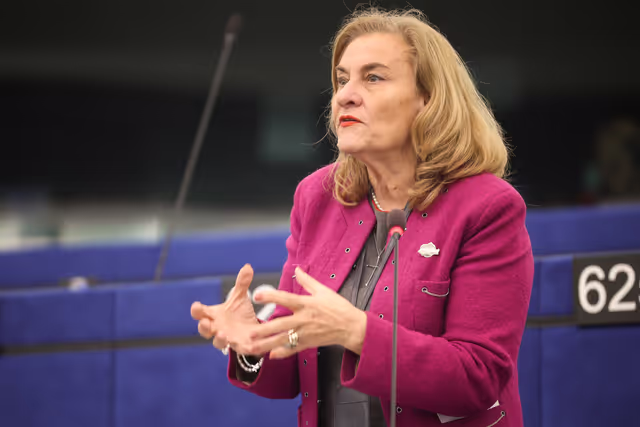 EP Plenary session -  2026 budgetary procedure: joint text